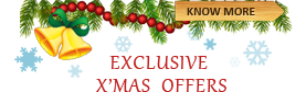 christmas psd to xhtml offer